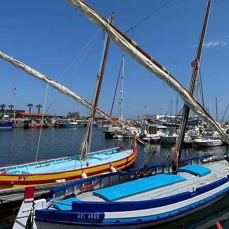 Joli T2 Climatisé Avec Cour Privée Et Parking, à 500m Et Port - Cyprien - Fr-1-793-2