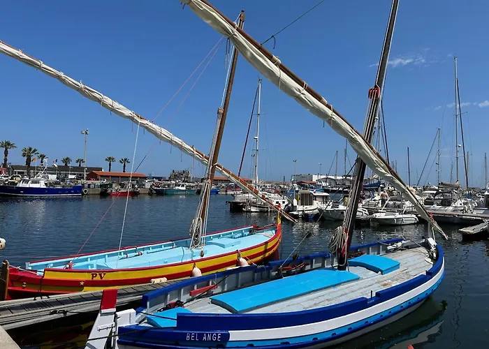 Joli T2 Climatisé Avec Cour Privée Et Parking, à 500m Et Port - Cyprien - Fr-1-793-2